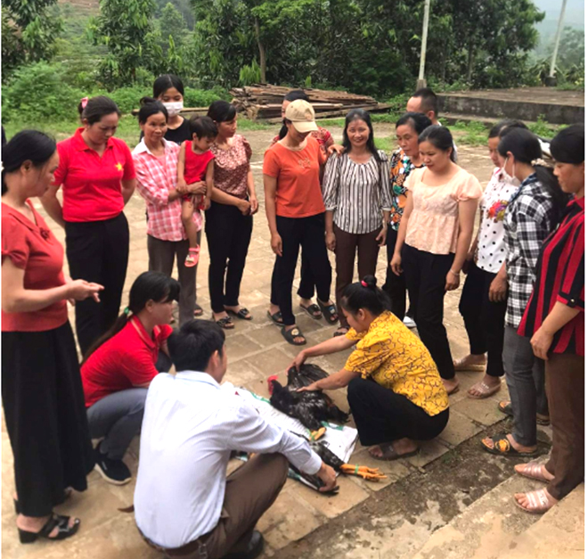 Hội viên Chi hội Phụ nữ thôn Kiến Rịa, xã Bình Thuận, huyện Văn Chấn tham gia lớp dạy nghề chăn nuôi thú y.