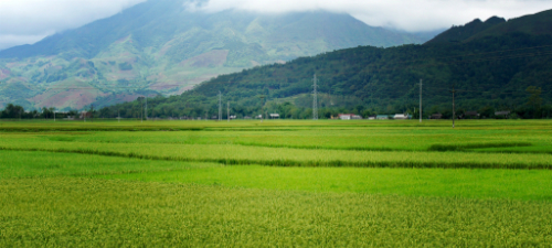 Cảnh sắc yên bình của vùng quê trù phú.